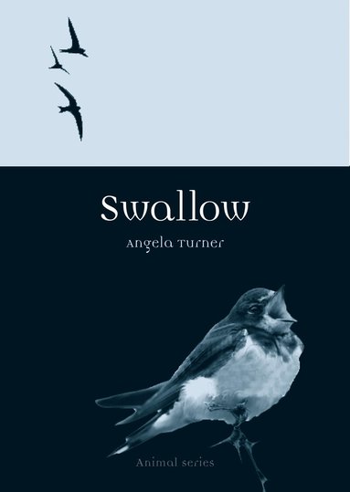 bokomslag Swallow