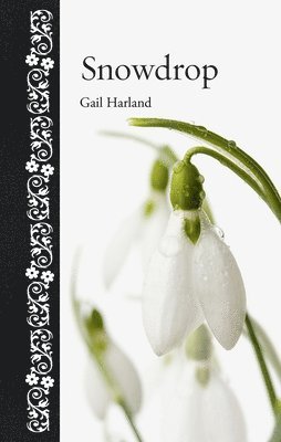 bokomslag Snowdrop