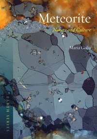 bokomslag Meteorite