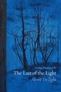 bokomslag The Last of the Light