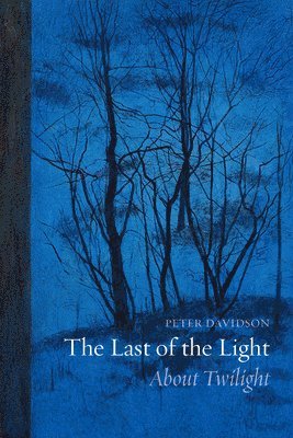 bokomslag The Last of the Light