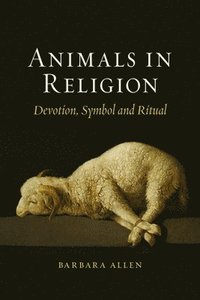 bokomslag Animals in Religion