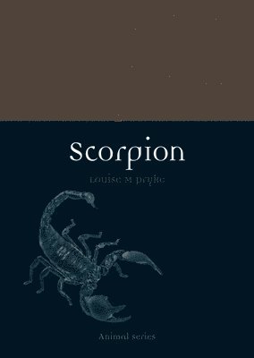 Scorpion 1