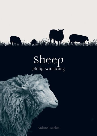 Philip Armstrong - Sheep, Häftad