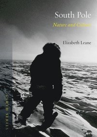 bokomslag South Pole: Nature and Culture