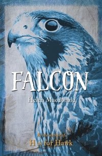bokomslag Falcon