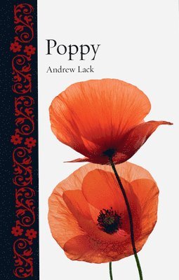 Poppy 1