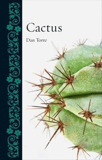 bokomslag Cactus