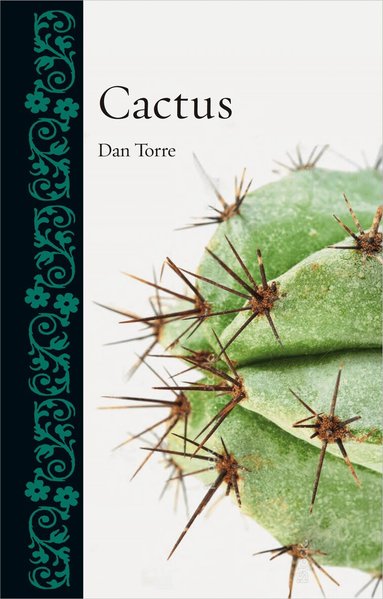 Dan Torre - Cactus, Inbunden