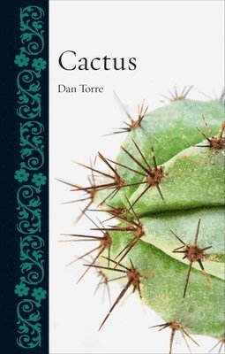 Dan Torre - Cactus, Inbunden