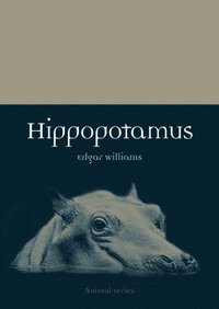 bokomslag Hippopotamus