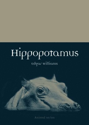 bokomslag Hippopotamus