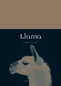 bokomslag Llama