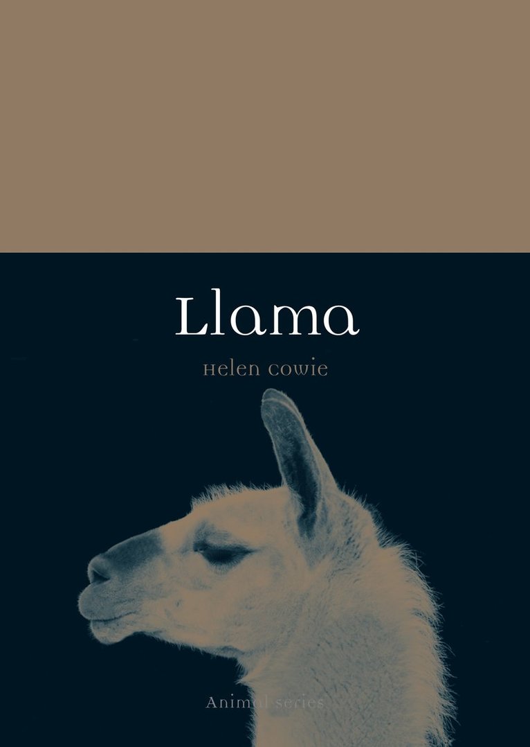 Llama 1