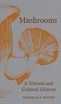 Mushrooms 1