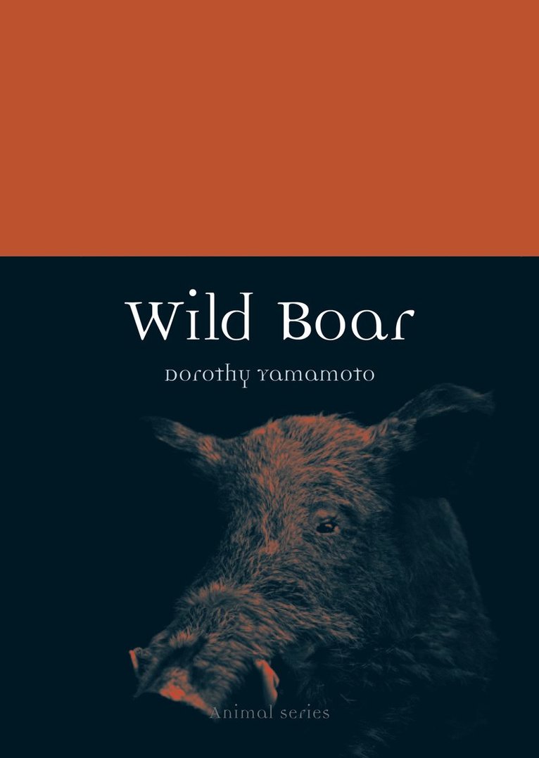 Dorothy Yamamoto - Wild Boar, Häftad