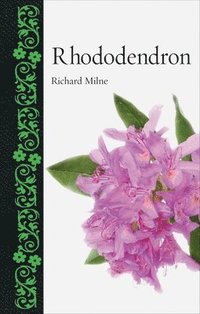 bokomslag Rhododendron