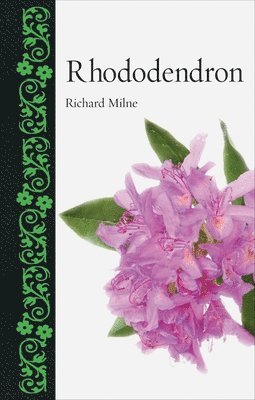 bokomslag Rhododendron