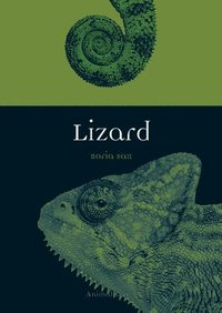 bokomslag Lizard