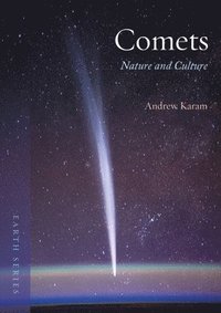 bokomslag Comets: Nature and Culture