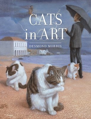 bokomslag Cats in Art