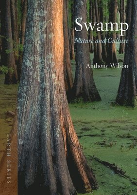 Anthony Wilson - Swamp: Nature and Culture, Häftad