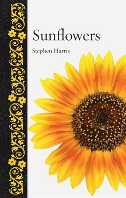 Sunflowers 1