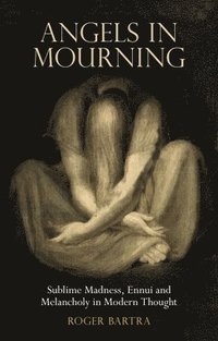 bokomslag Angels in Mourning: Sublime Madness, Ennui and Melancholy in Modern Thought