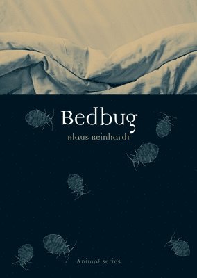 bokomslag Bedbug