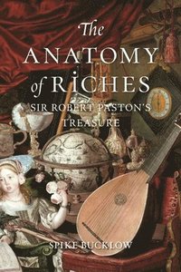 bokomslag The Anatomy of Riches