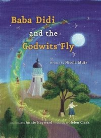 bokomslag Baba Didi and the Godwits Fly