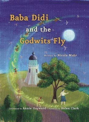 Baba Didi and the Godwits Fly 1