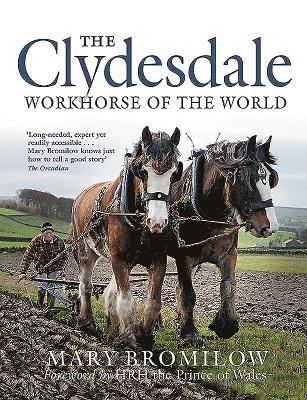 bokomslag The Clydesdale