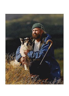 Shepherd and the Morning Star