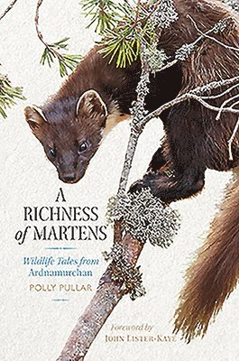 bokomslag Richness of Martens