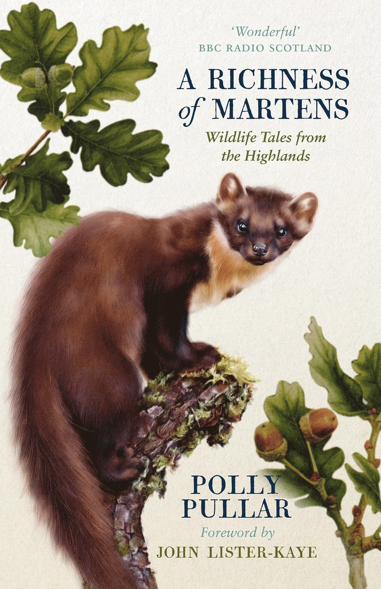 Richness of Martens