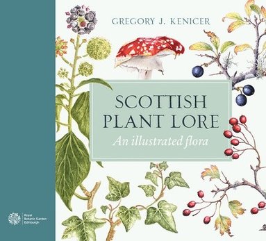 bokomslag Scottish Plant Lore