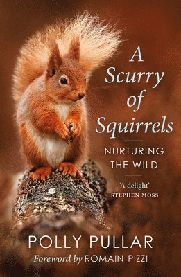 A Scurry of Squirrels 1