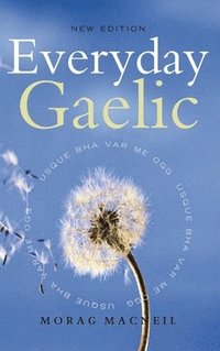 bokomslag Everyday Gaelic