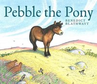 bokomslag Pebble the Pony