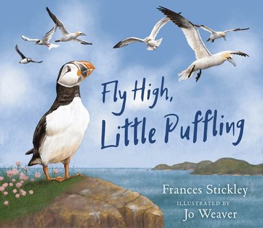 Frances Stickley - Fly High, Little Puffling, Häftad