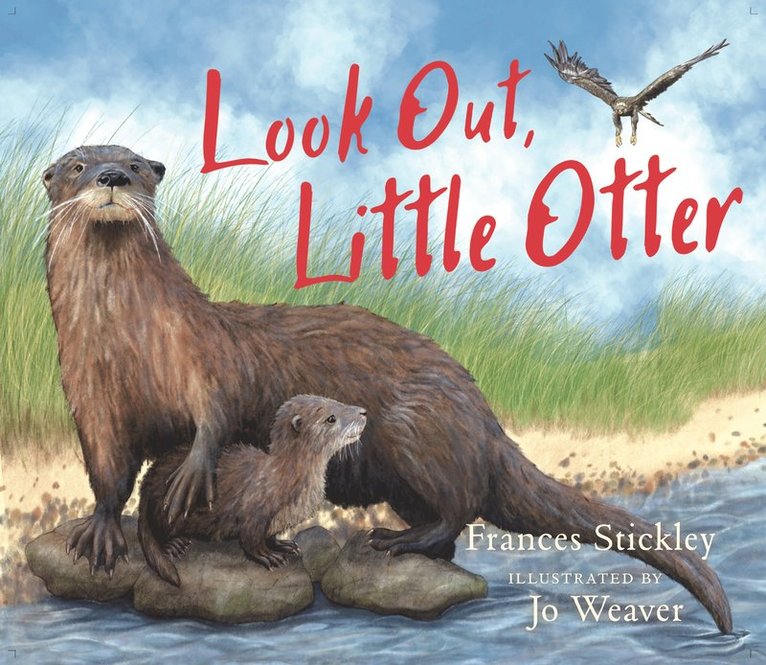Look Out, Little Otter