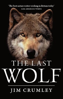 bokomslag Last Wolf
