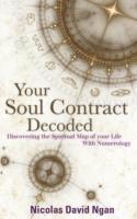 bokomslag Your Soul Contract Decoded