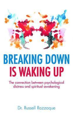 bokomslag Breaking Down is Waking Up