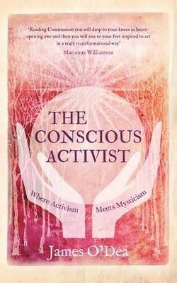 bokomslag The Conscious Activist