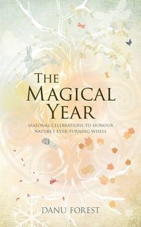 bokomslag The Magical Year