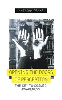 bokomslag Opening The Doors of Perception
