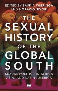 bokomslag The Sexual History of the Global South