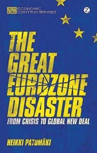 bokomslag Great Eurozone Disaster